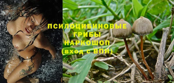 ГАЛЛЮЦИНОГЕННЫЕ ГРИБЫ Горняк