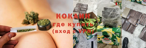 ГАЛЛЮЦИНОГЕННЫЕ ГРИБЫ Горняк