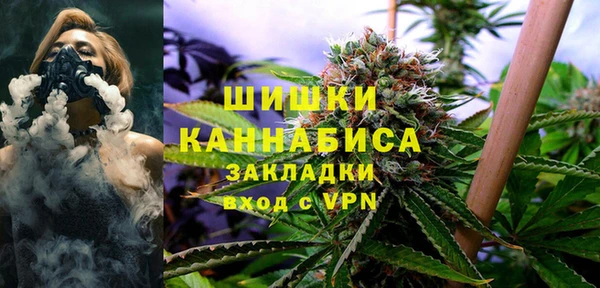 ГАЛЛЮЦИНОГЕННЫЕ ГРИБЫ Горняк