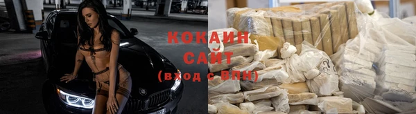 ГАЛЛЮЦИНОГЕННЫЕ ГРИБЫ Горняк
