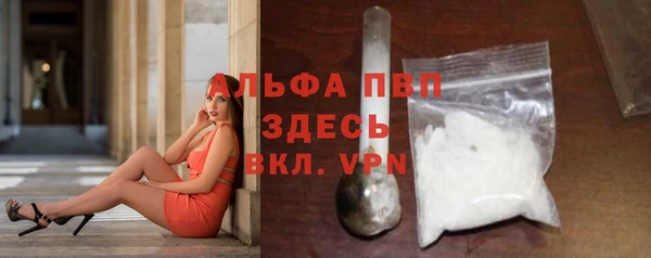 ГАЛЛЮЦИНОГЕННЫЕ ГРИБЫ Горняк