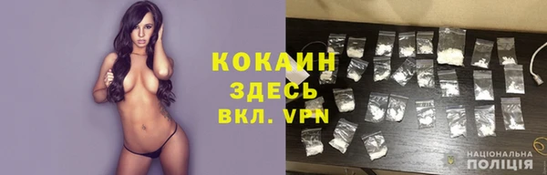 ГАЛЛЮЦИНОГЕННЫЕ ГРИБЫ Горняк