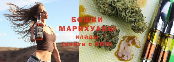 ГАЛЛЮЦИНОГЕННЫЕ ГРИБЫ Горняк