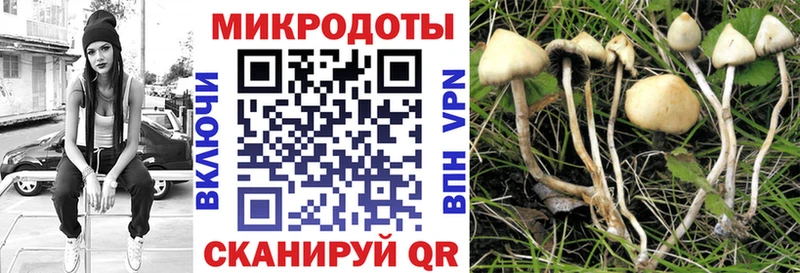 Галлюциногенные грибы Magic Shrooms  Чусовой 